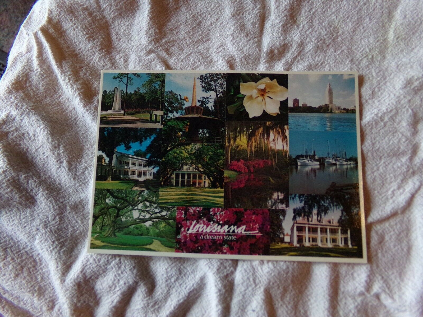 Vintage Postcard Louisiana - "a Dream State" Collage Of Pics From Louisiana