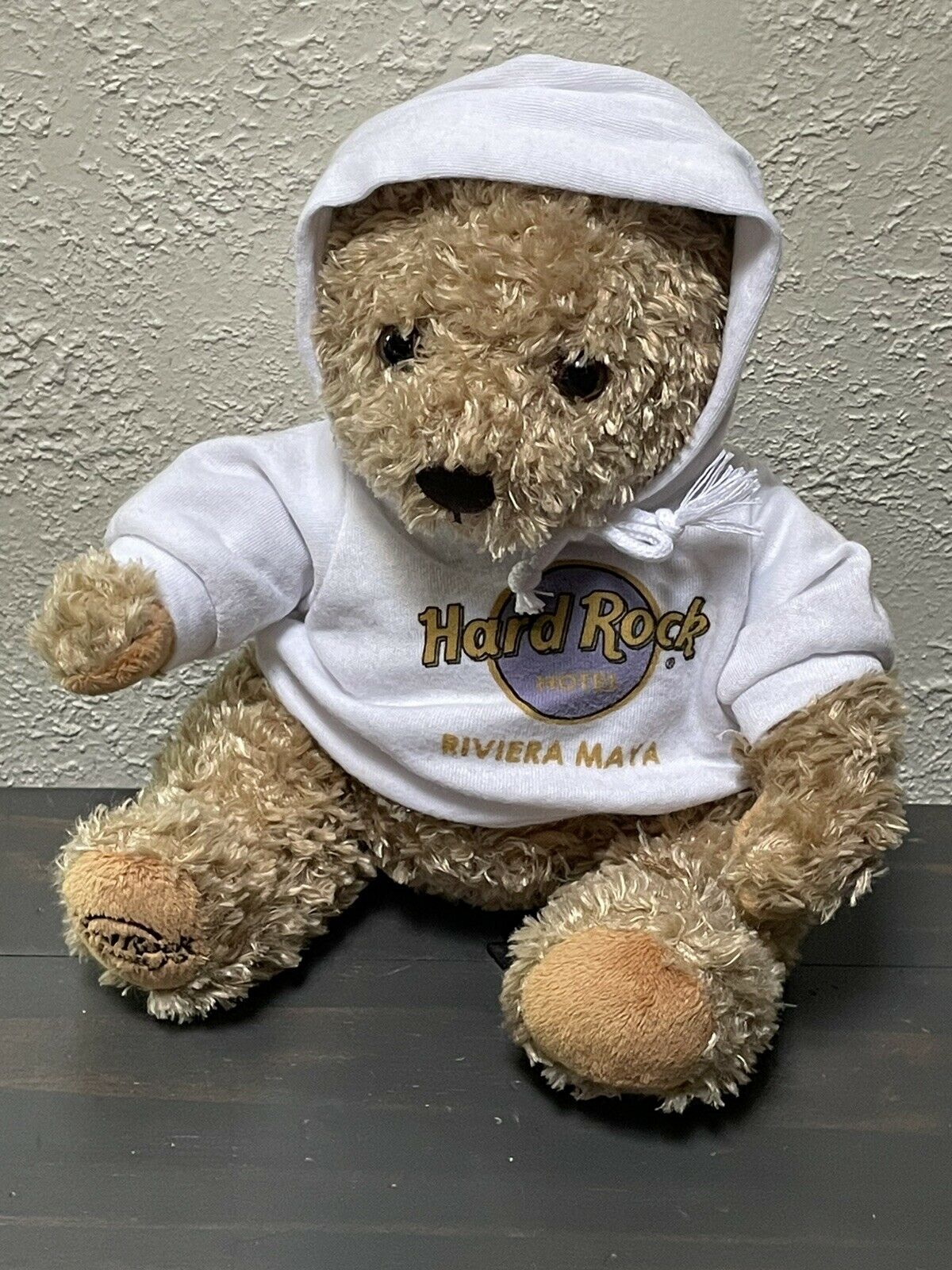 Hard Rock Hotel Cafe Bear Plush Riviera Maya Teddy 2016 Stuffed Animal Hoodie 9"