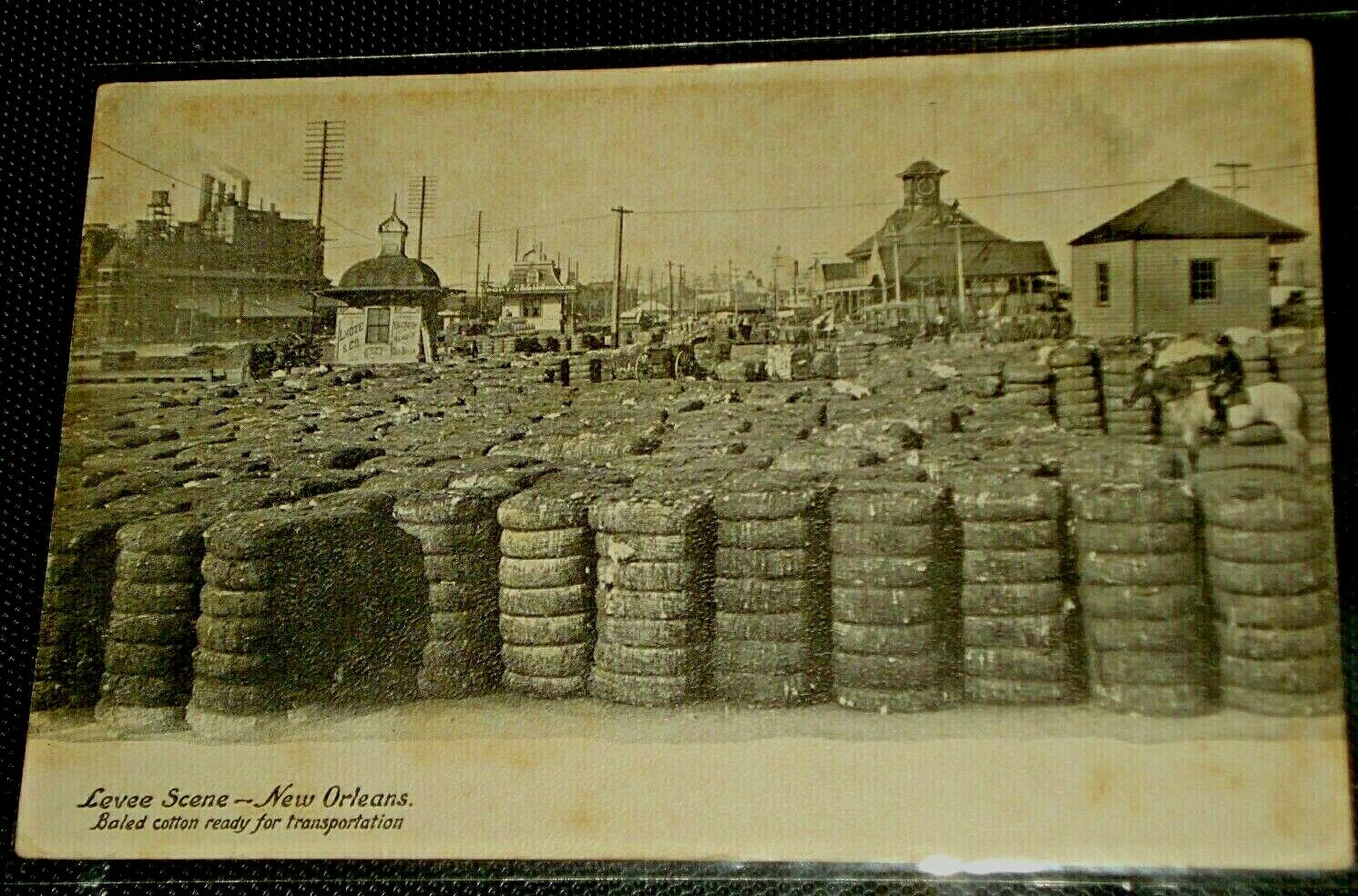 Baled Cotton Levee Scene 1906 Postcard New Orleans La