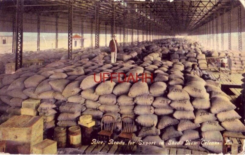 Rice, Ready For Export In Shed, New Orleans, La. 1911